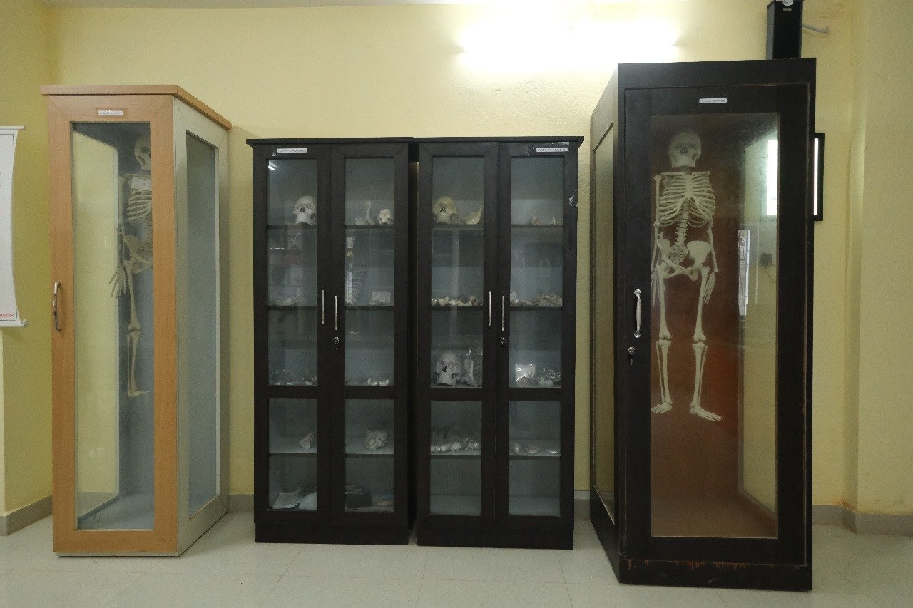 Gallery Image 27